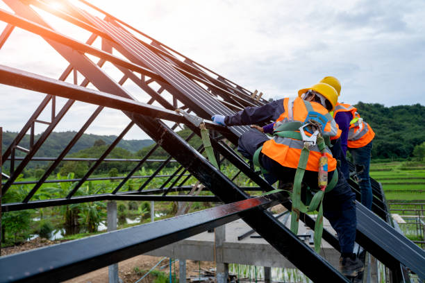 Best Roof Repair Services  in Denmark, WI