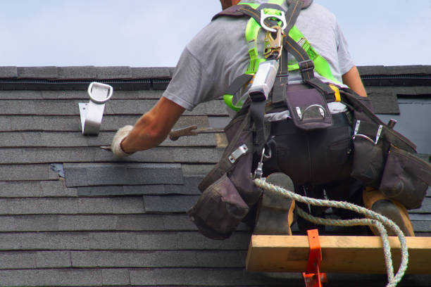 Best Roof Leak Repair  in Denmark, WI