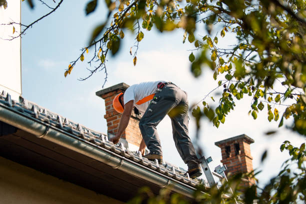Best Roof Maintenance Services  in Denmark, WI
