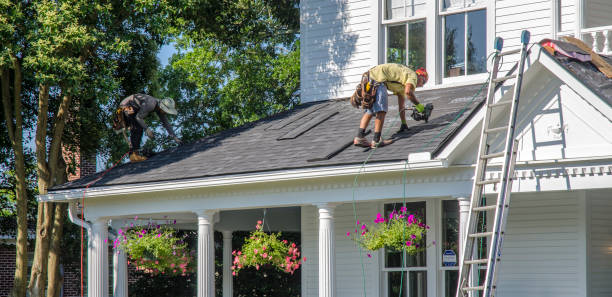 Best Roof Waterproofing Services  in Denmark, WI